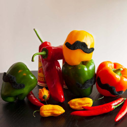 Mexické fúzy, čierne, 5 ks